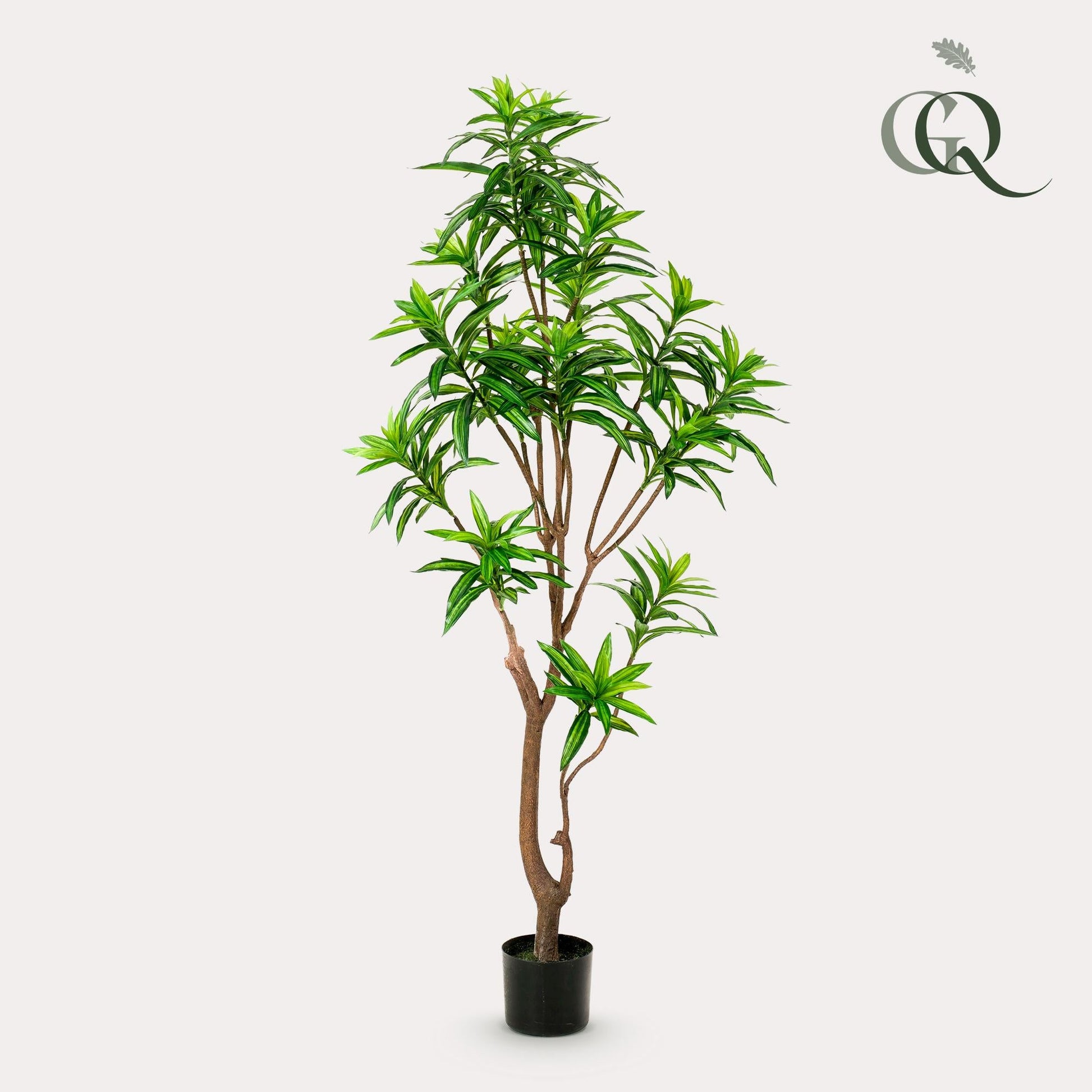 Kunstplant - Dracaena - Drakenboom - 155 cm - Forestbloom