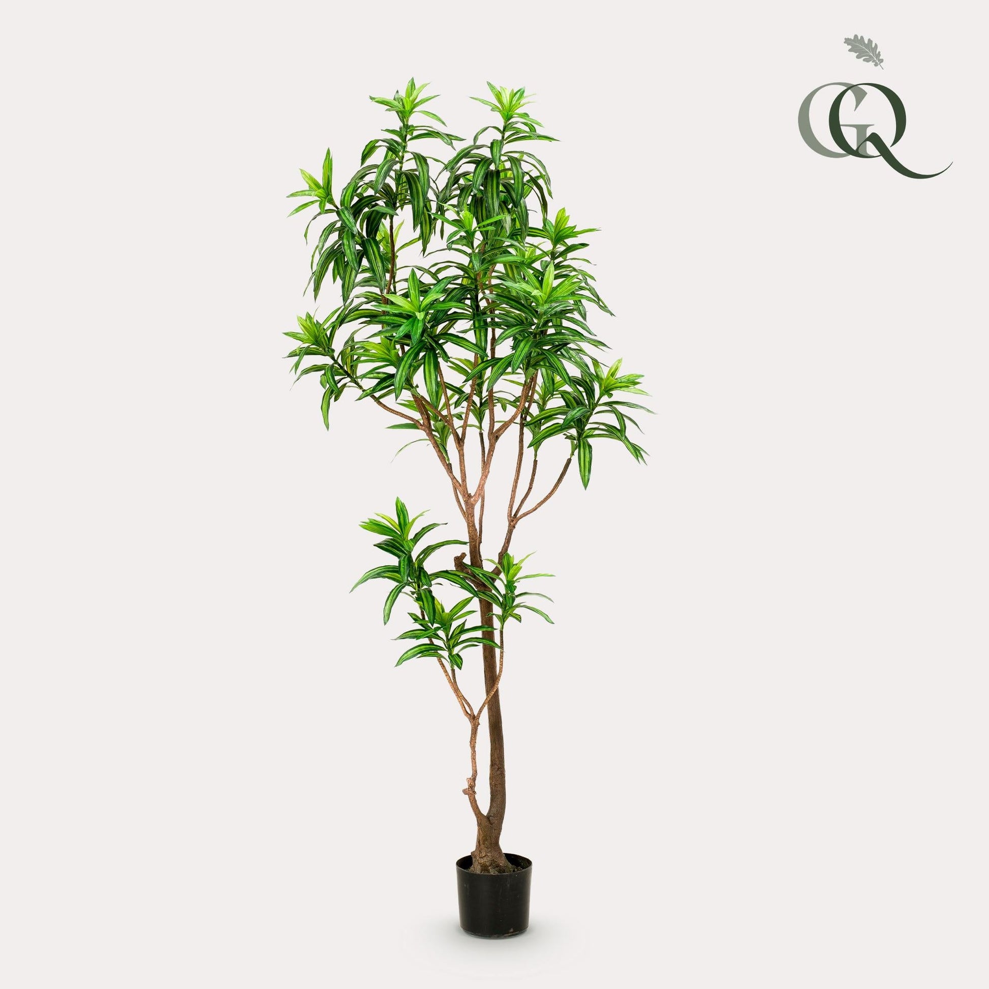 Kunstplant - Dracaena - Drakenboom - 190 cm - Forestbloom