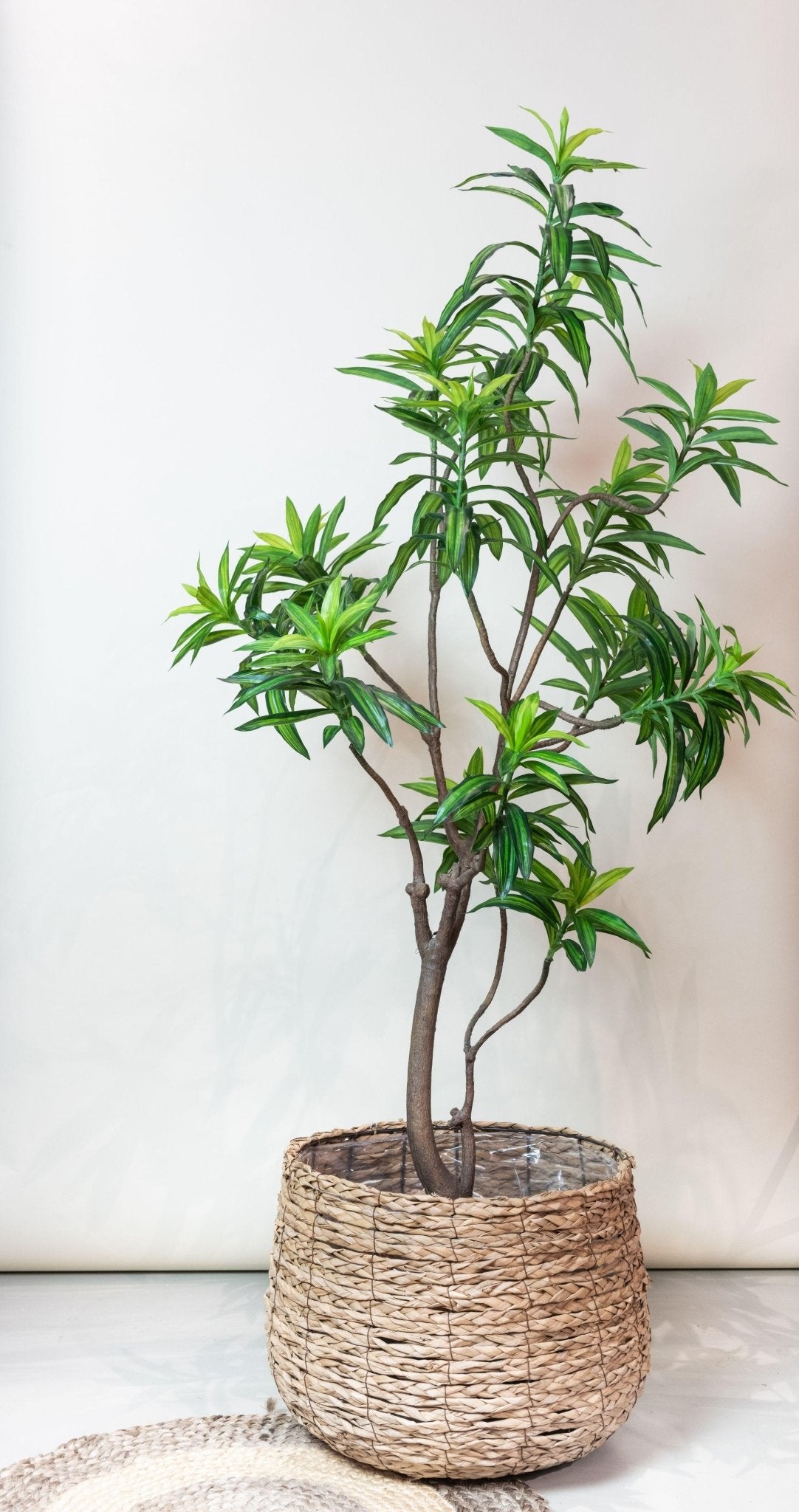 Kunstplant - Dracaena - Drakenboom - 190 cm - Forestbloom