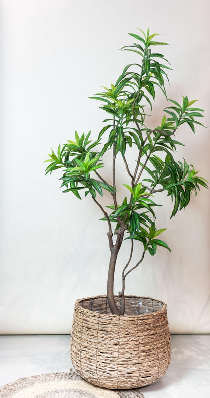 Kunstplant - Dracaena - Drakenboom - 190 cm - Forestbloom