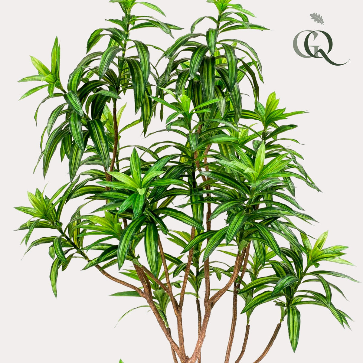 Kunstplant - Dracaena - Drakenboom - 190 cm - Forestbloom