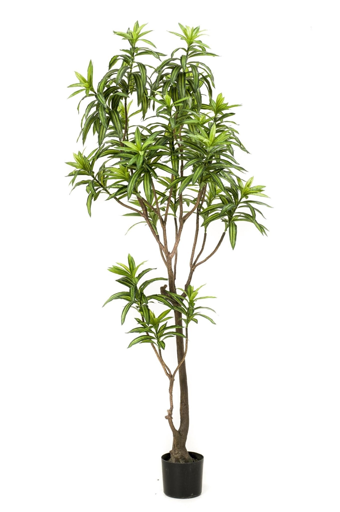 Kunstplant - Dracaena - Drakenboom - 190 cm - Forestbloom