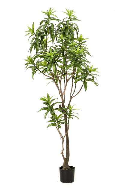 Kunstplant - Dracaena - Drakenboom - 190 cm - Forestbloom