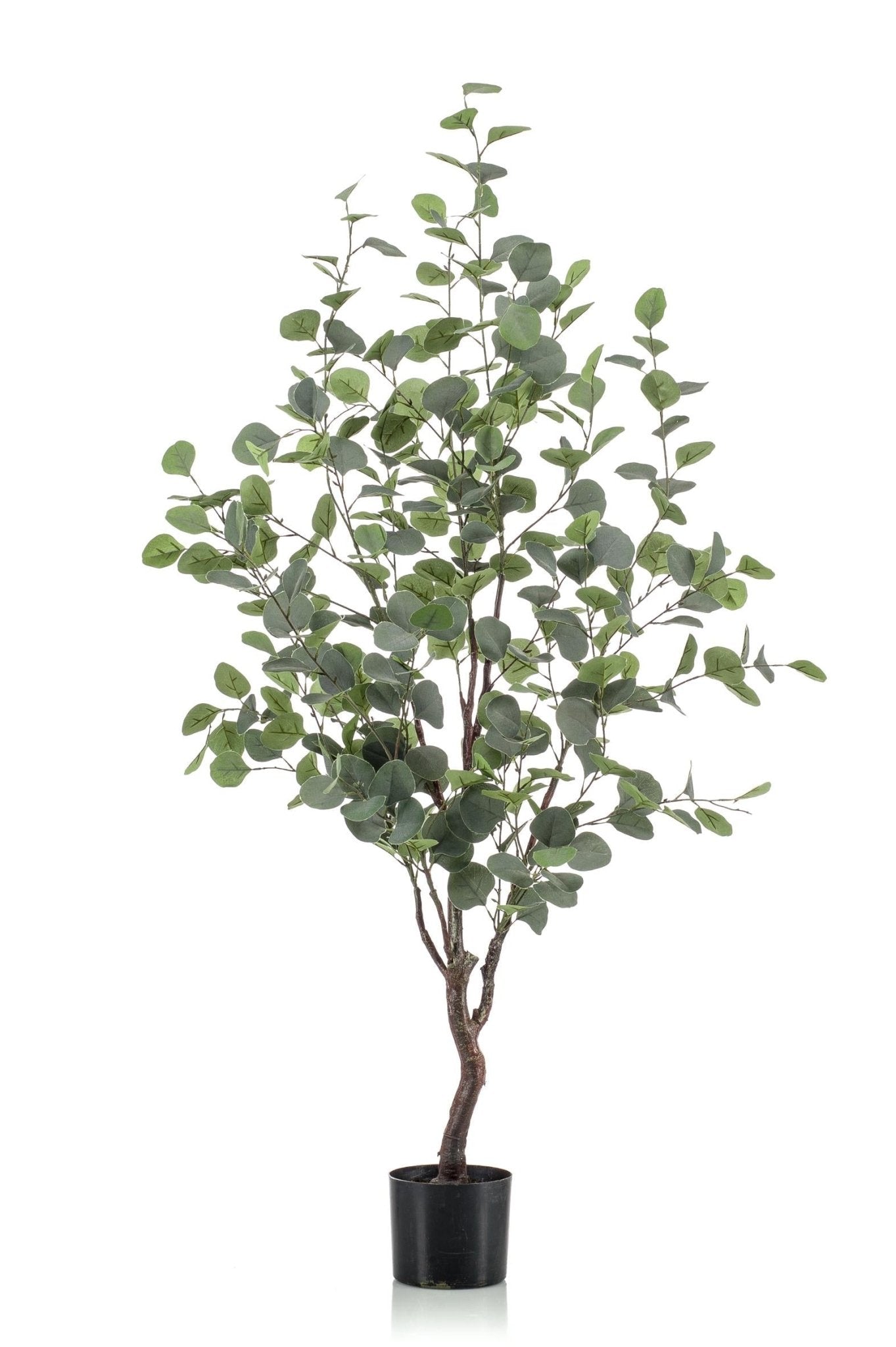 Kunstplant - Eucalyptus - Blauwe Gomboom - 120 cm - Forestbloom