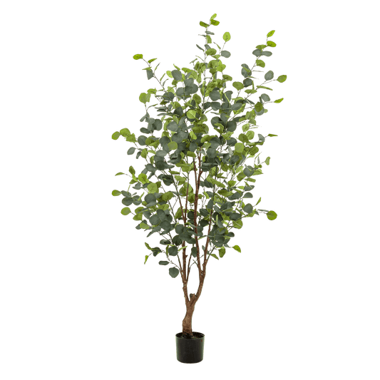 Kunstplant - Eucalyptus - Blauwe Gomboom - 140 cm - Forestbloom