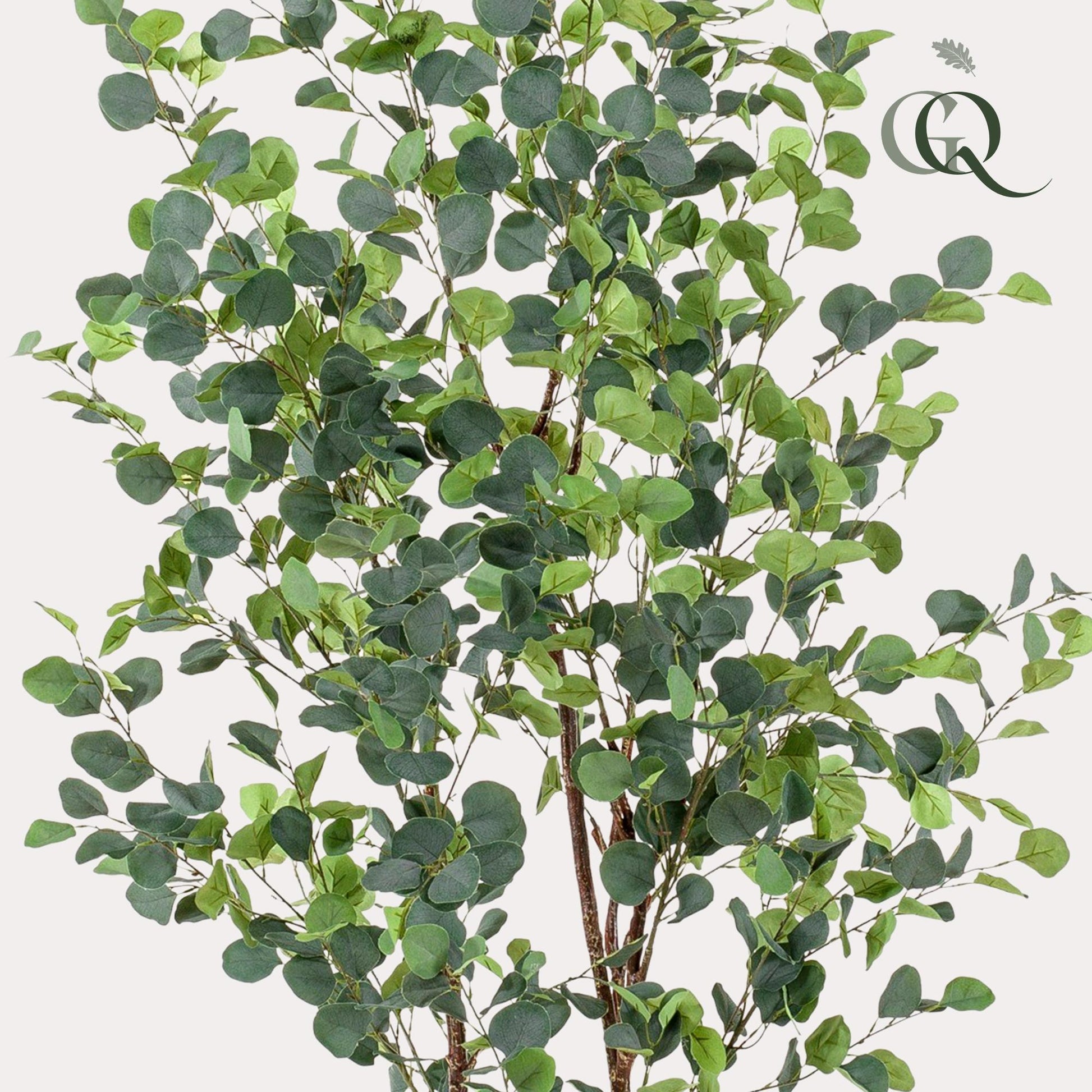 Kunstplant - Eucalyptus - Blauwe Gomboom - 180 cm - Forestbloom