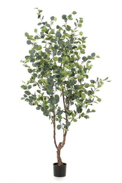 Kunstplant - Eucalyptus - Blauwe Gomboom - 180 cm - Forestbloom