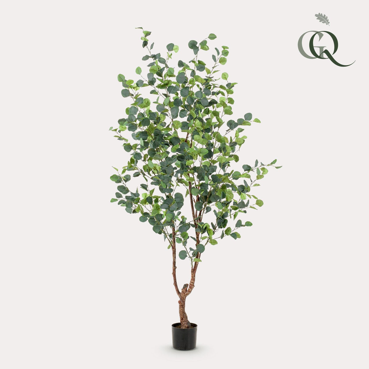 Kunstplant - Eucalyptus - Blauwe Gomboom - 180 cm - Forestbloom