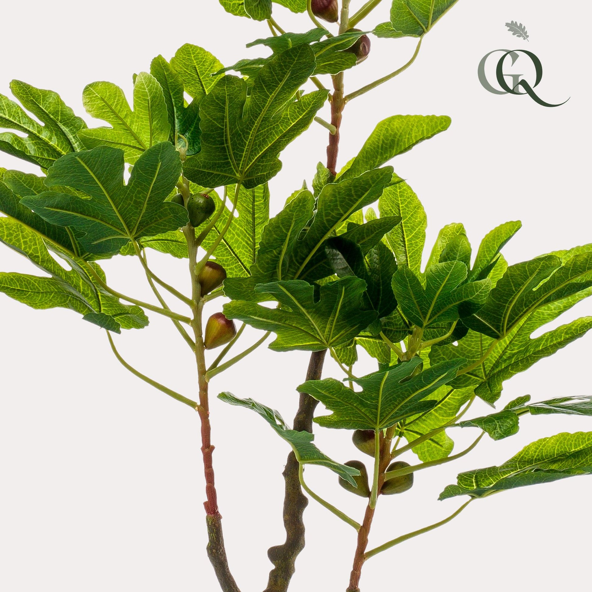 Kunstplant - Ficus Carica - Vijgenboom - 95 cm - Forestbloom