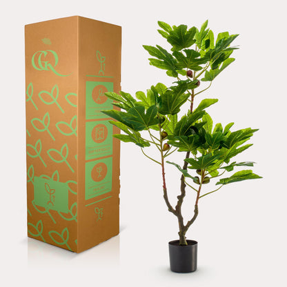 Kunstplant - Ficus Carica - Vijgenboom - 95 cm - Forestbloom