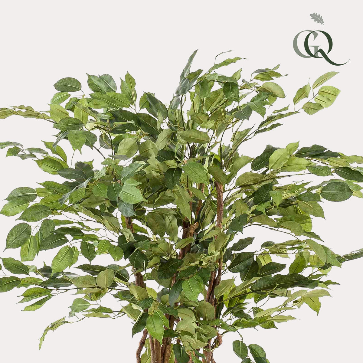 kunstplant - Ficus liana - Vioolbladplant - 140 cm - Forestbloom
