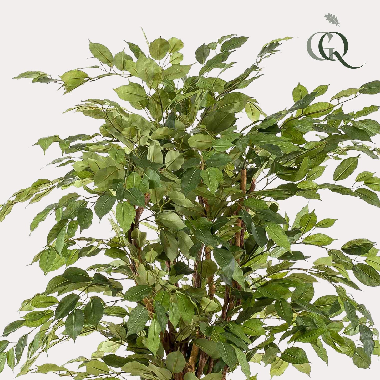 Kunstplant - Ficus liana - Vioolbladplant - 170 cm - Forestbloom