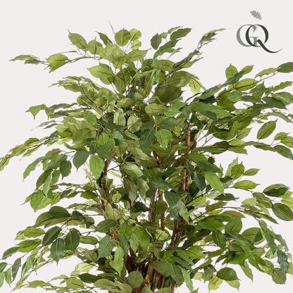 Kunstplant - Ficus liana - Vioolbladplant - 170 cm - Forestbloom