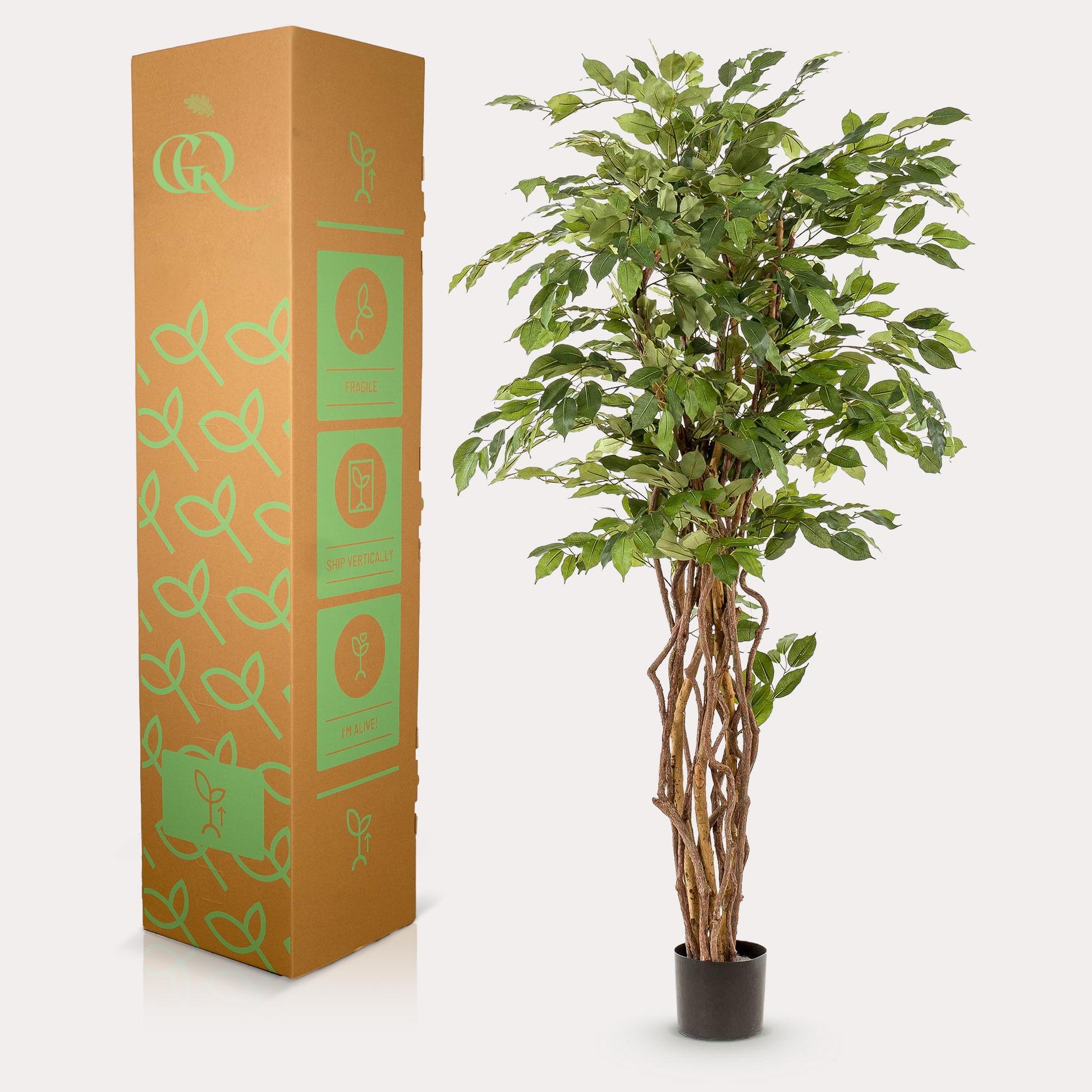 Kunstplant - Ficus liana - Vioolbladplant - 170 cm - Forestbloom