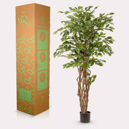 Kunstplant - Ficus liana - Vioolbladplant - 170 cm - Forestbloom