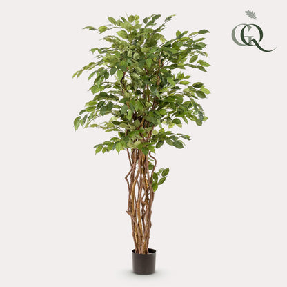 Kunstplant - Ficus liana - Vioolbladplant - 170 cm - Forestbloom