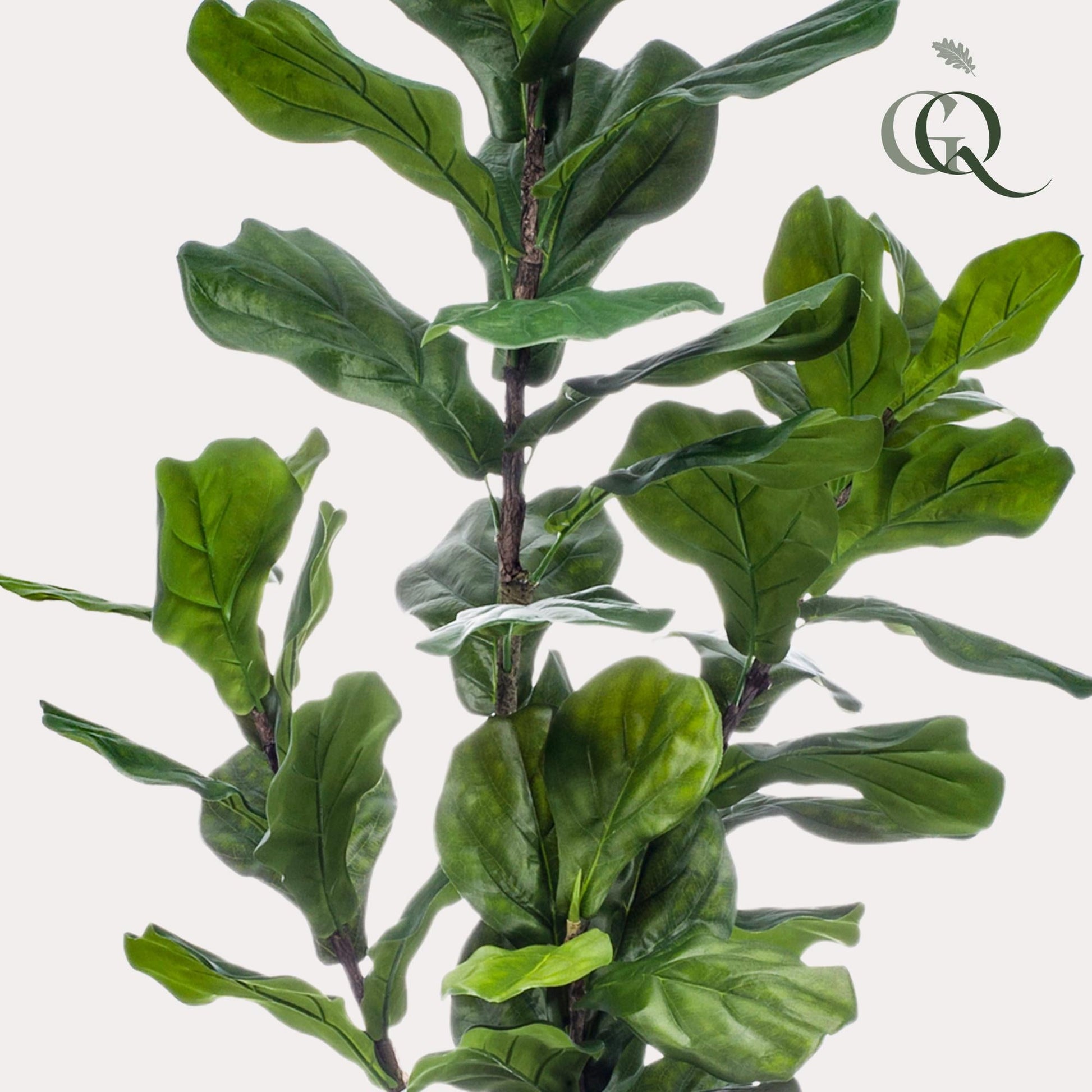 Kunstplant - Ficus Lyrata - Tabaksplant - 150 cm - Forestbloom