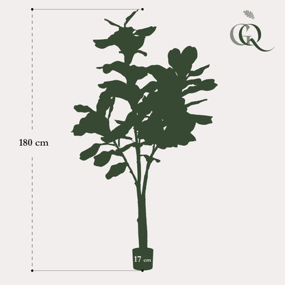 Kunstplant - Ficus Lyrata - Tabaksplant - 180 cm - Forestbloom
