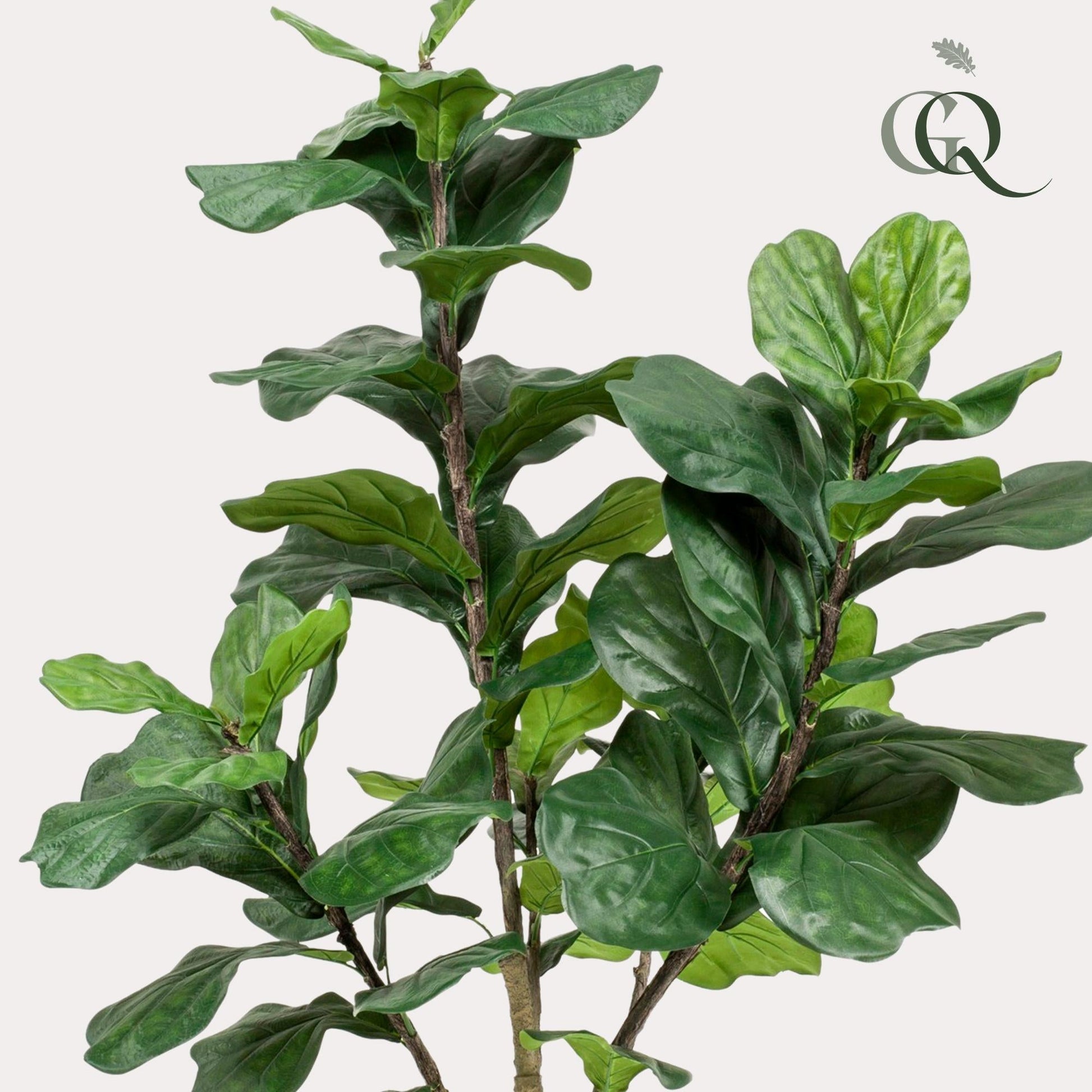 Kunstplant - Ficus Lyrata - Tabaksplant - 180 cm - Forestbloom