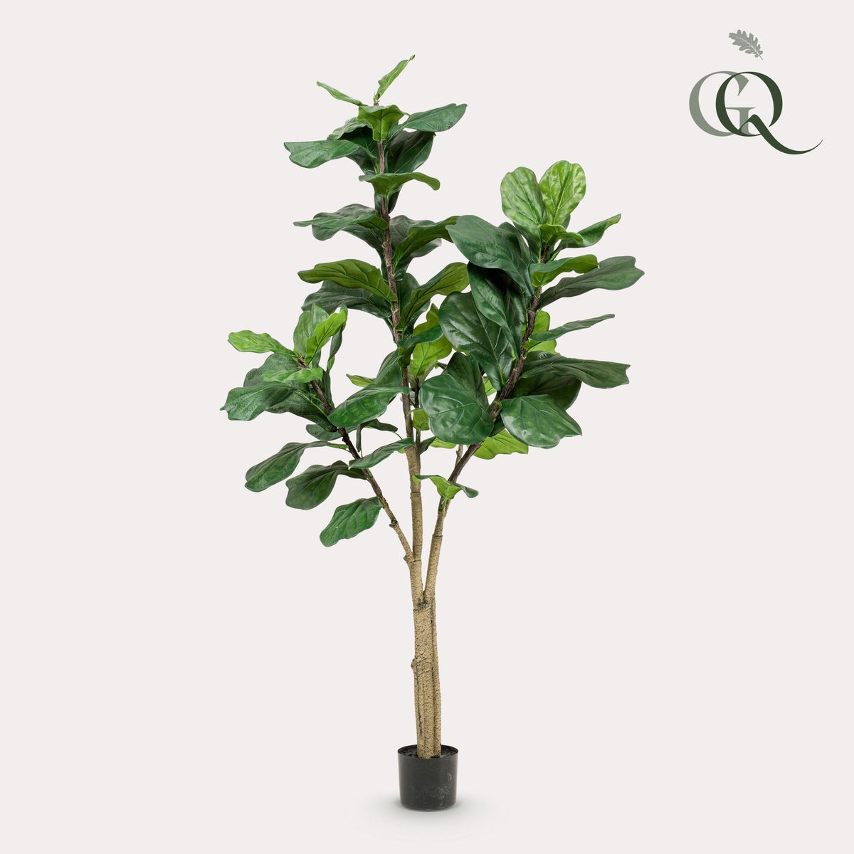 Kunstplant - Ficus Lyrata - Tabaksplant - 180 cm - Forestbloom