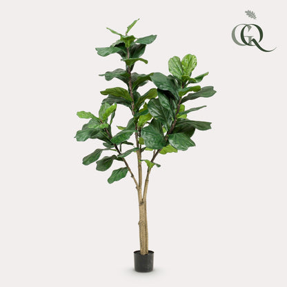 Kunstplant - Ficus Lyrata - Tabaksplant - 180 cm - Forestbloom