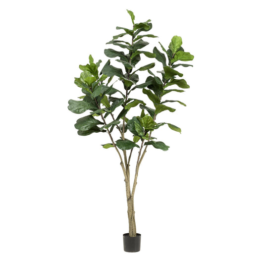 Kunstplant - Ficus Lyrata - Tabaksplant - 210 cm - Forestbloom