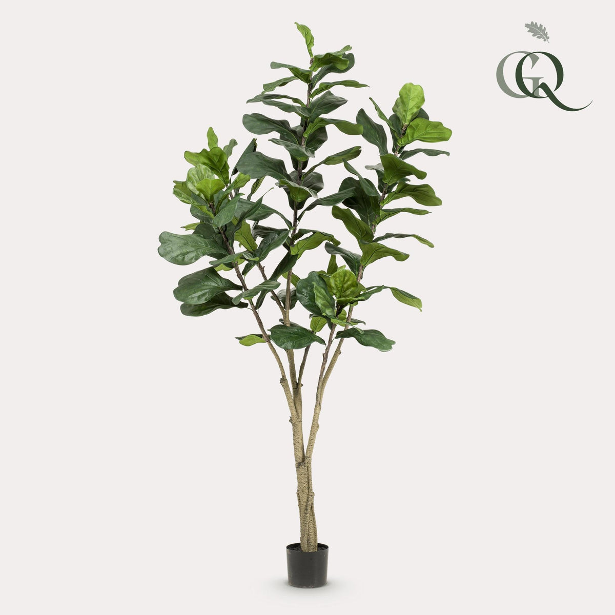Kunstplant - Ficus Lyrata - Tabaksplant - 210 cm - Forestbloom