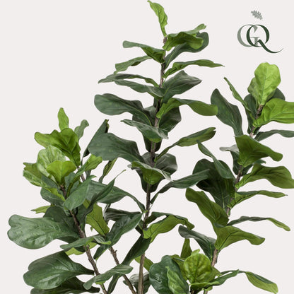 Kunstplant - Ficus Lyrata - Tabaksplant - 210 cm - Forestbloom