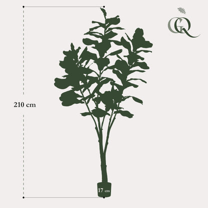 Kunstplant - Ficus Lyrata - Tabaksplant - 210 cm - Forestbloom