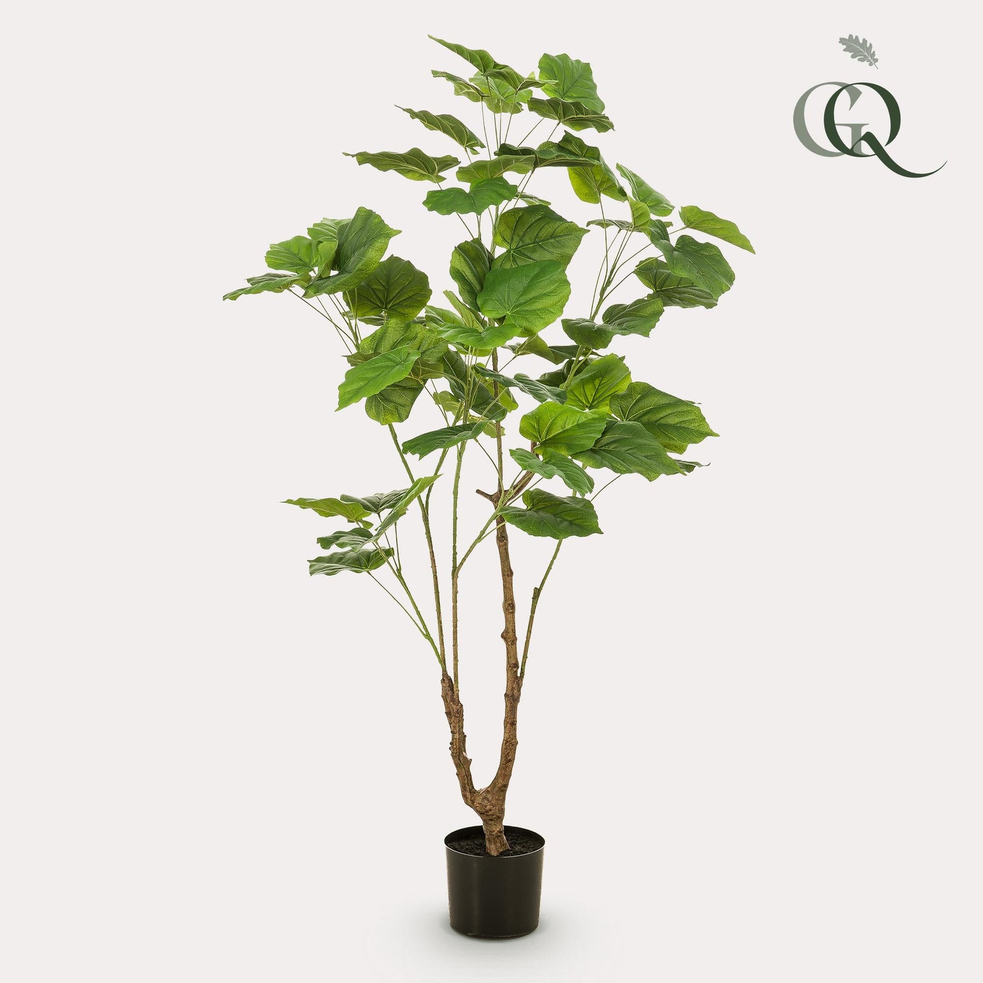 Kunstplant - Ficus umbellate - Afrikaanse vijg - 125 cm - Forestbloom