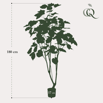 Kunstplant - Ficus umbellate - Afrikaanse vijg - 180 cm - Forestbloom