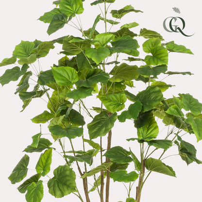Kunstplant - Ficus umbellate - Afrikaanse vijg - 180 cm - Forestbloom