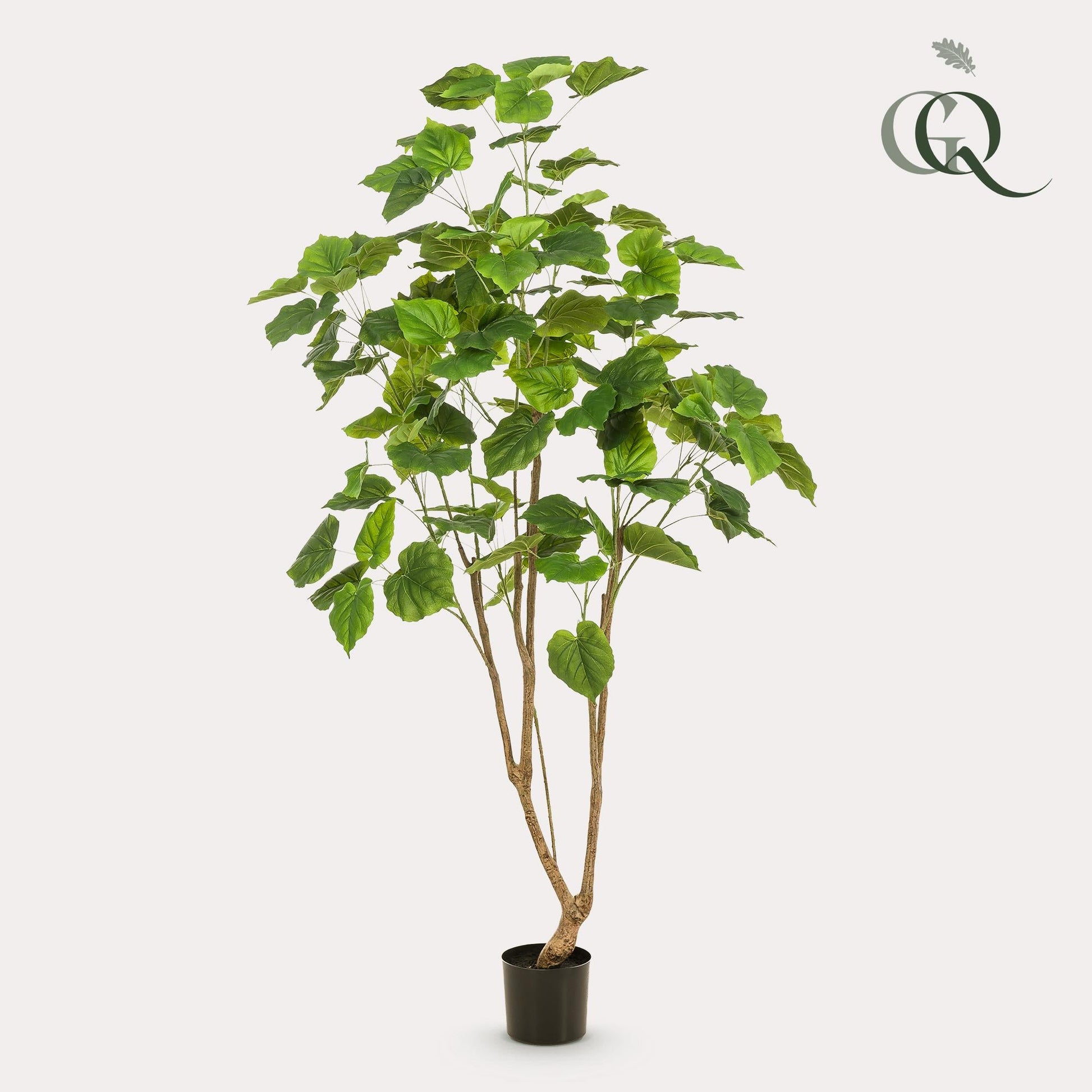 Kunstplant - Ficus umbellate - Afrikaanse vijg - 180 cm - Forestbloom