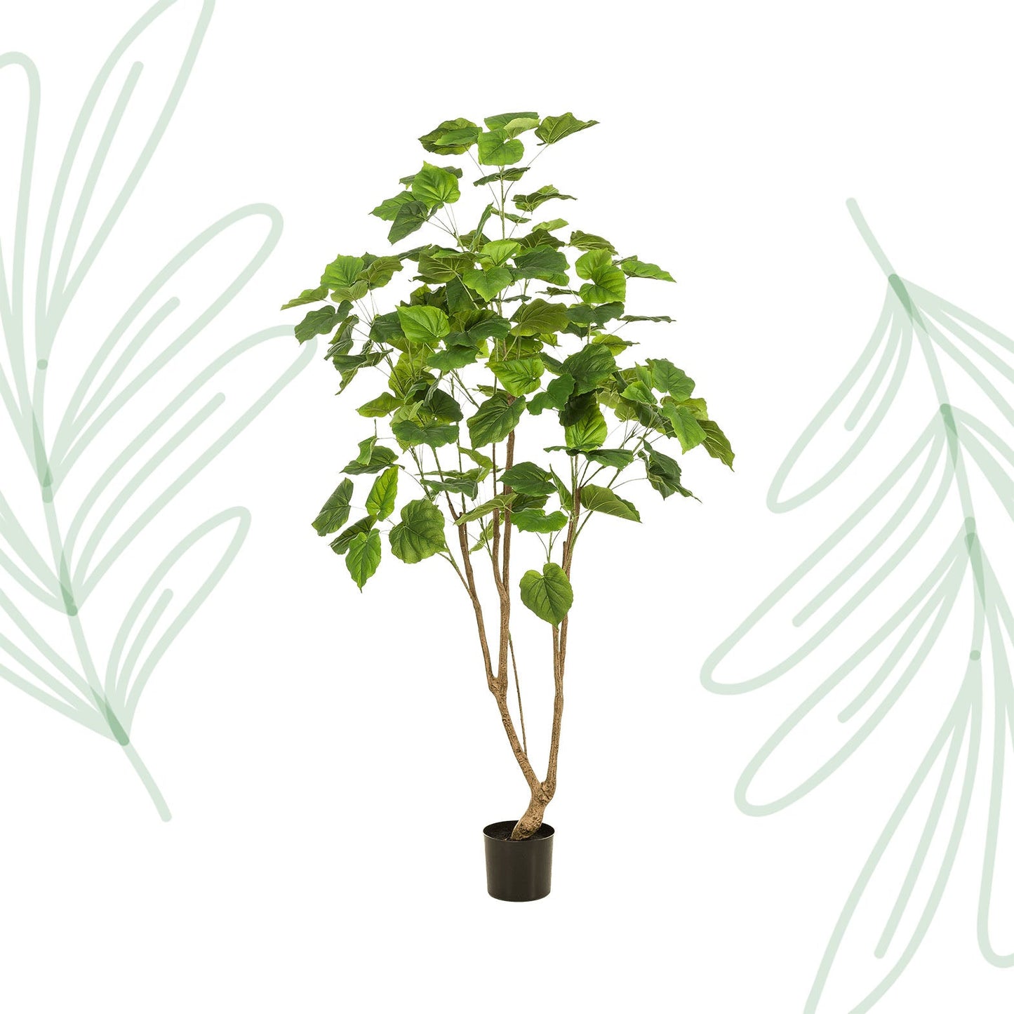 Kunstplant - Ficus umbellate - Afrikaanse vijg - 180 cm - Forestbloom