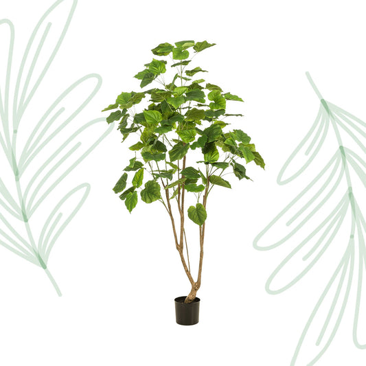 Kunstplant - Ficus umbellate - Afrikaanse vijg - 180 cm - Forestbloom