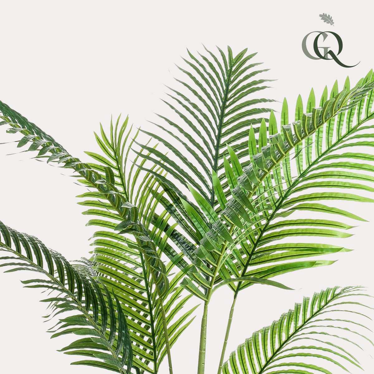 Kunstplant - Howea Forsteriana - 160 cm - Forestbloom