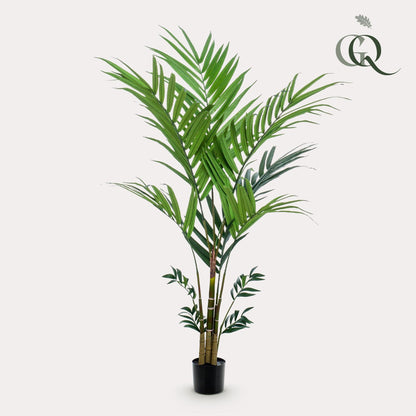 Kunstplant - Kentia - Kentiapalm - 180 cm - Forestbloom