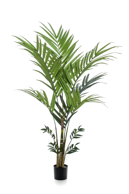 Kunstplant - Kentia - Kentiapalm - 180 cm - Forestbloom