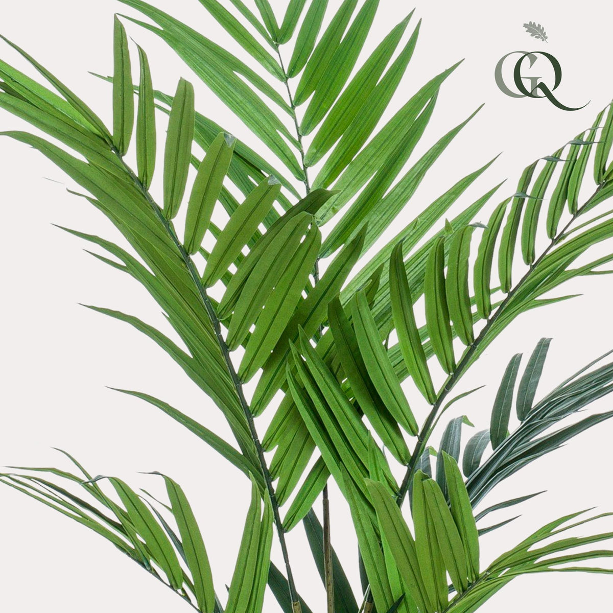 Kunstplant - Kentia - Kentiapalm - 180 cm - Forestbloom