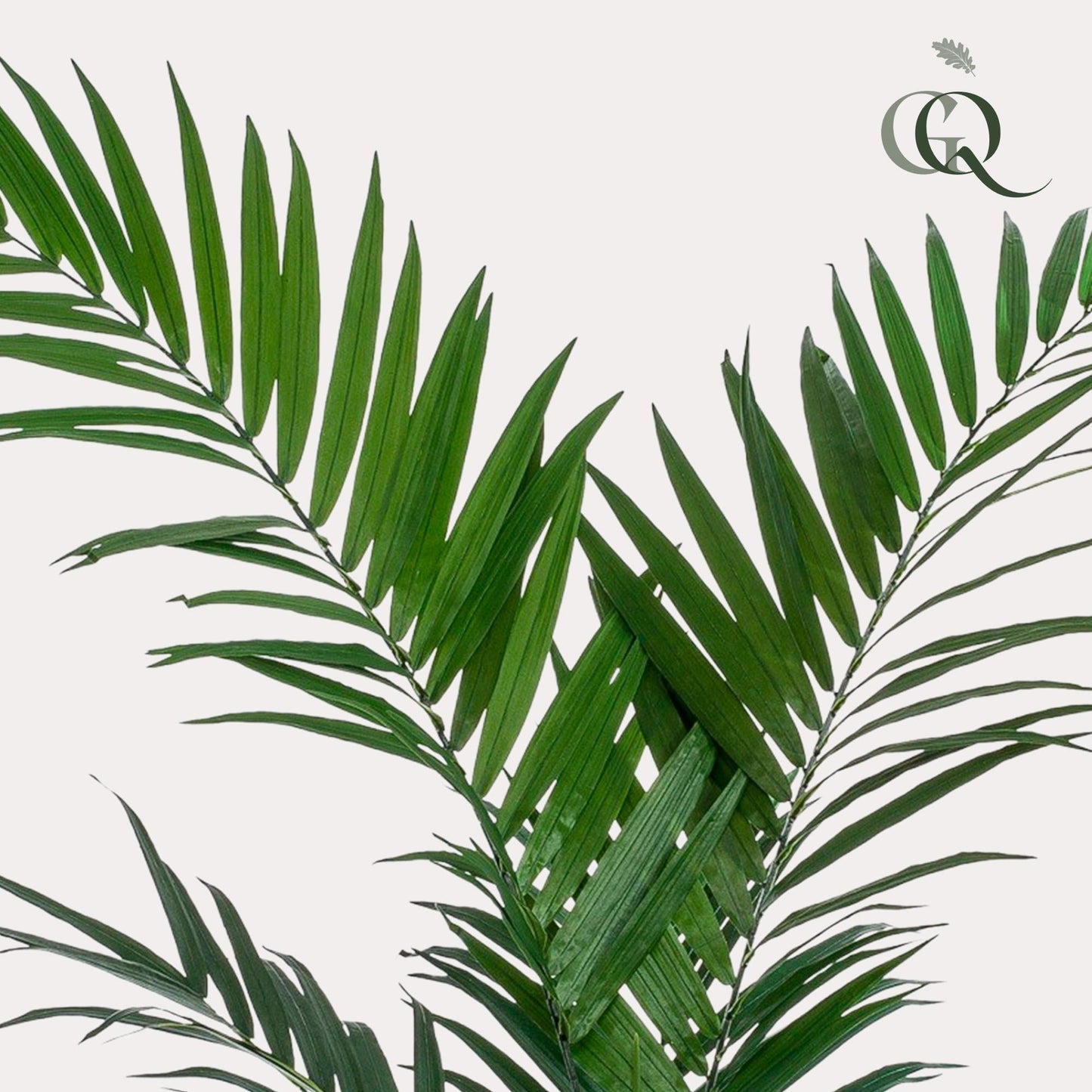 Kunstplant - Kentiapalm - 150 cm - Forestbloom