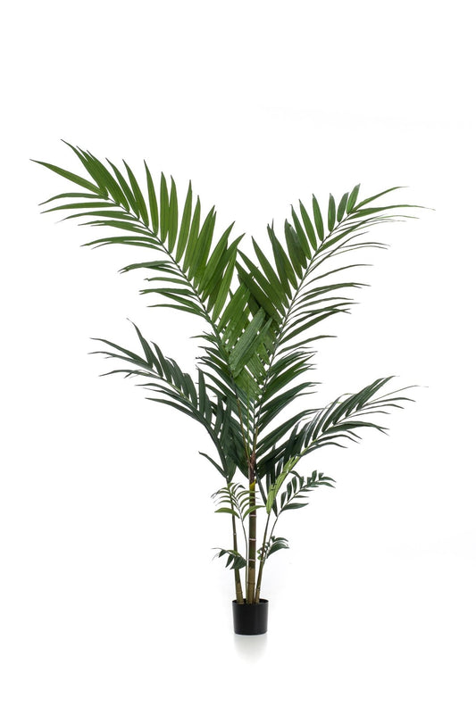 Kunstplant - Kentiapalm - 150 cm - Forestbloom