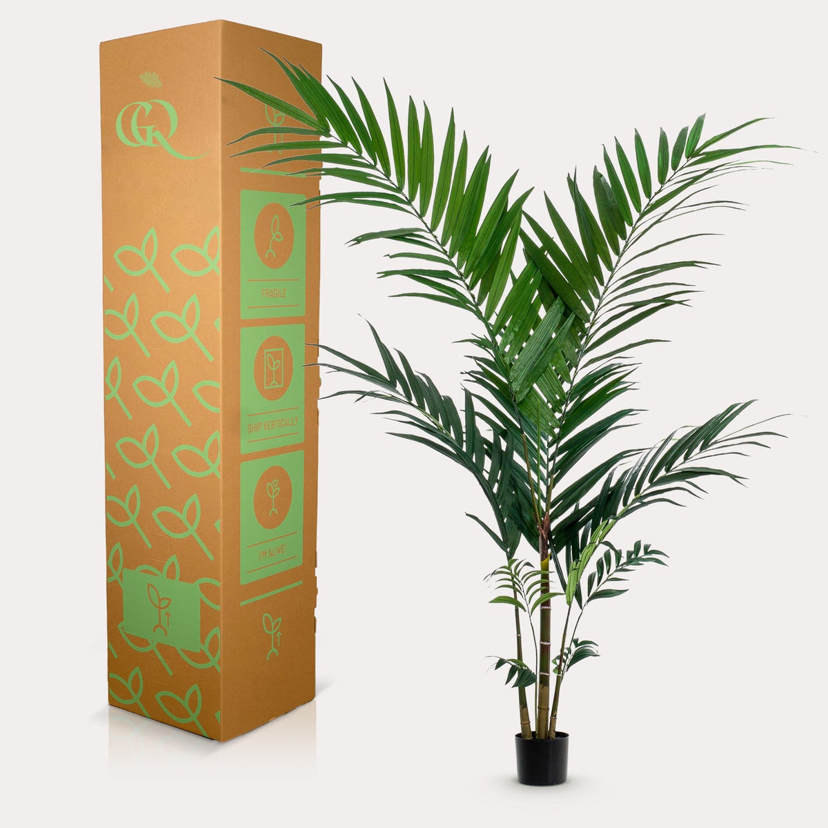 Kunstplant - Kentiapalm - 150 cm - Forestbloom