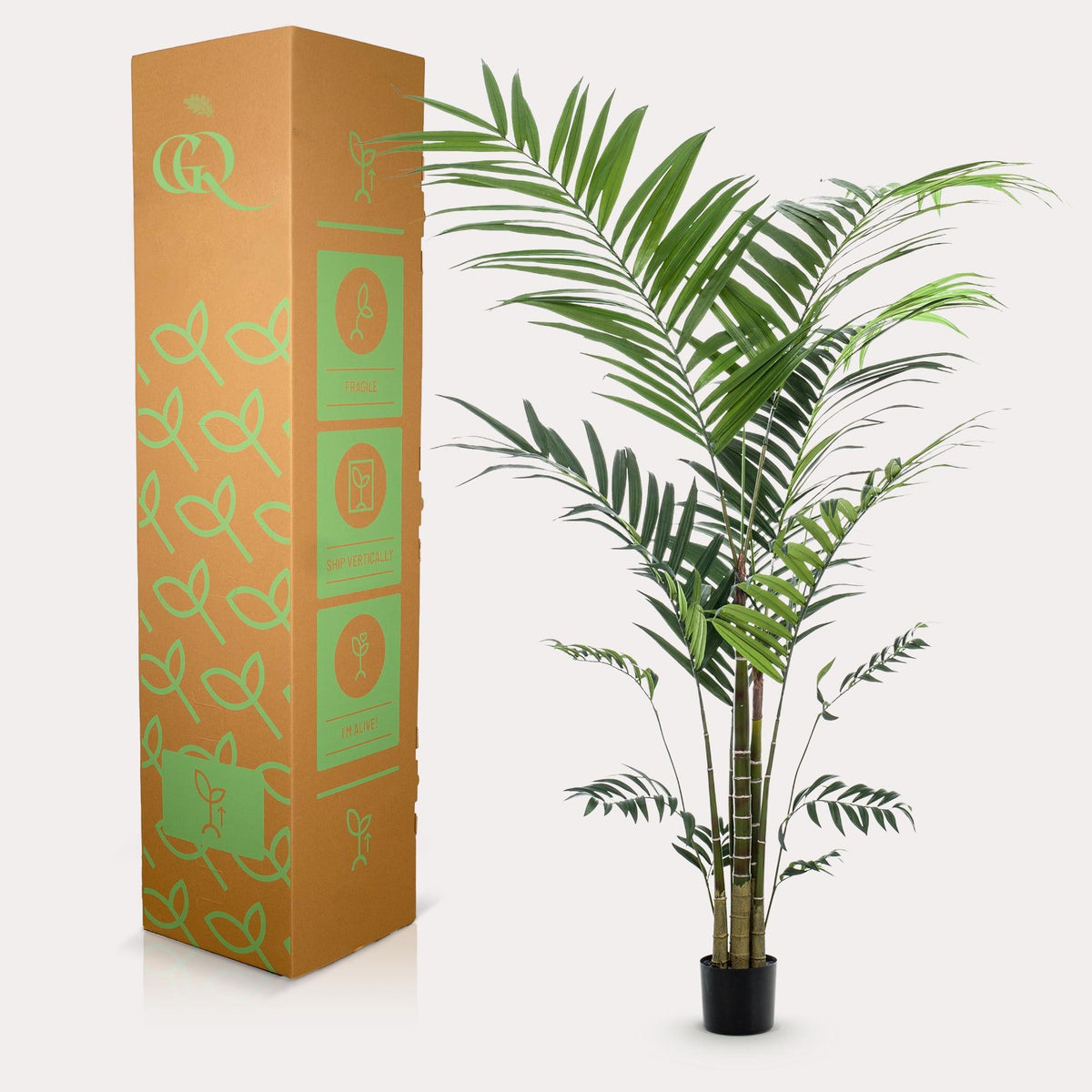 Kunstplant - Kentiapalm - 210 cm - Forestbloom