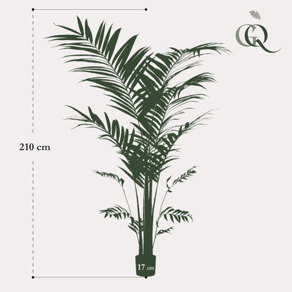 Kunstplant - Kentiapalm - 210 cm - Forestbloom