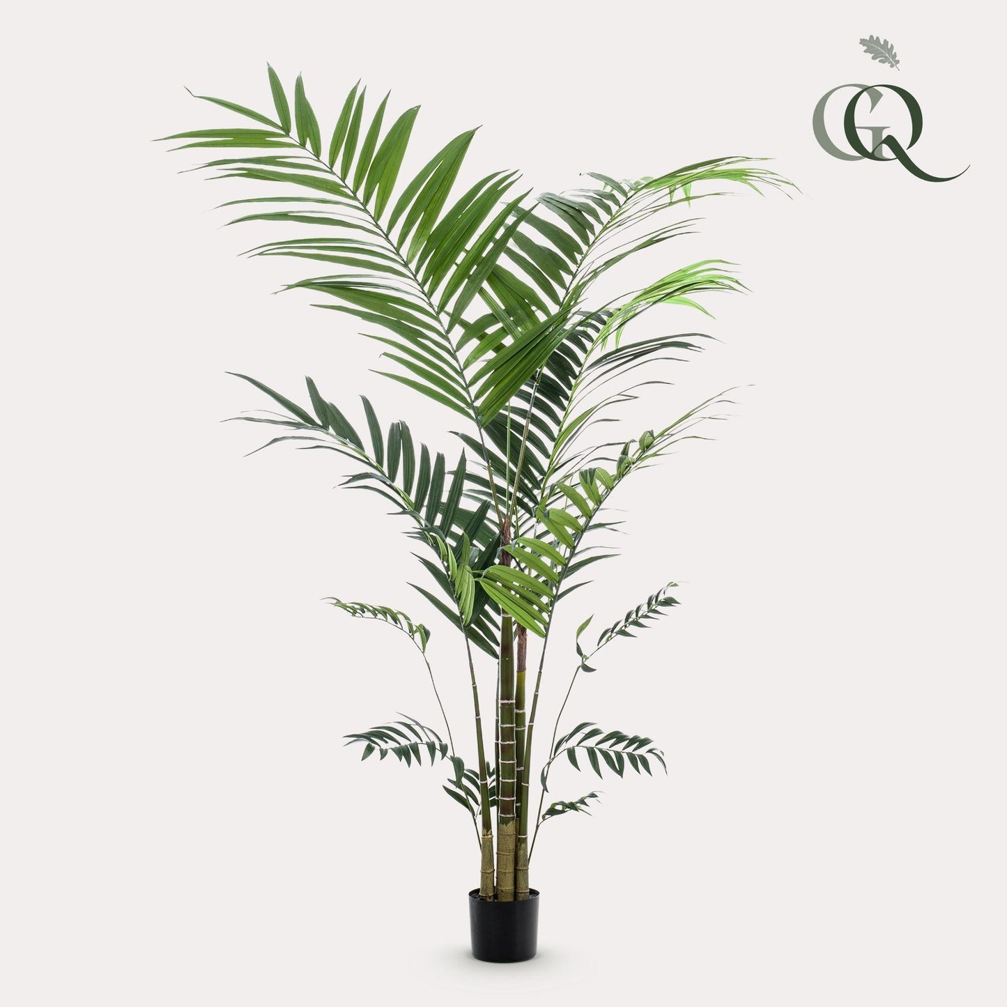 Kunstplant - Kentiapalm - 210 cm - Forestbloom