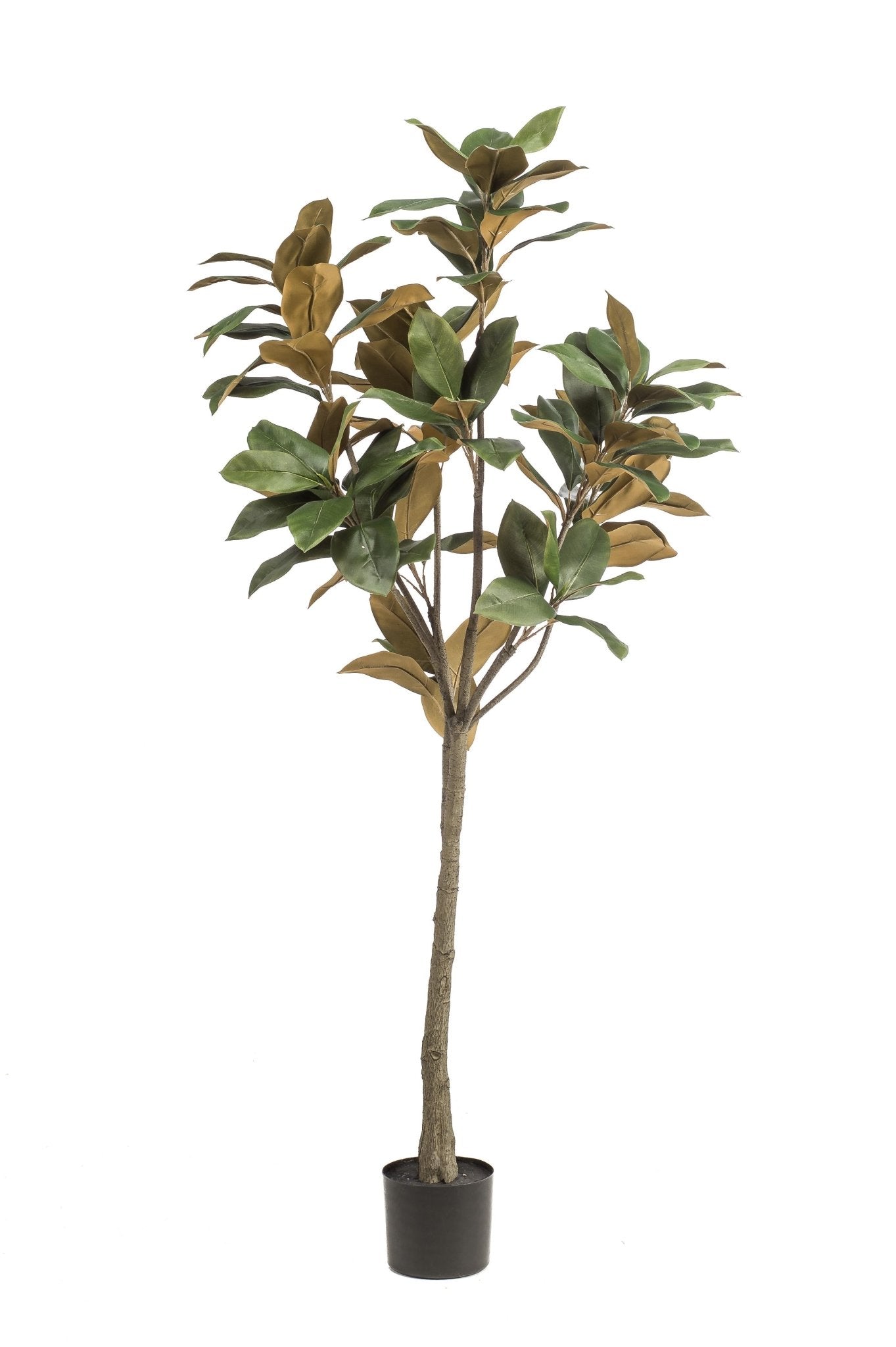Kunstplant - Magnolia Grandiflora - 150 cm - Forestbloom