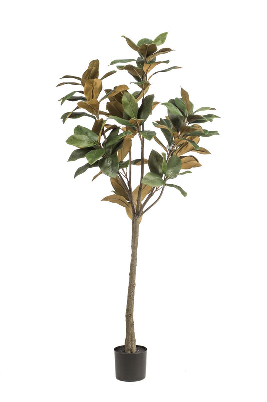Kunstplant - Magnolia Grandiflora - 150 cm - Forestbloom