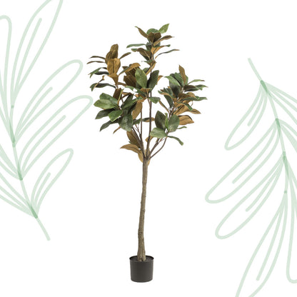 Kunstplant - Magnolia Grandiflora - 150 cm - Forestbloom