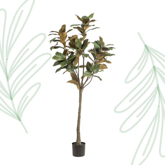 Kunstplant - Magnolia Grandiflora - 150 cm - Forestbloom