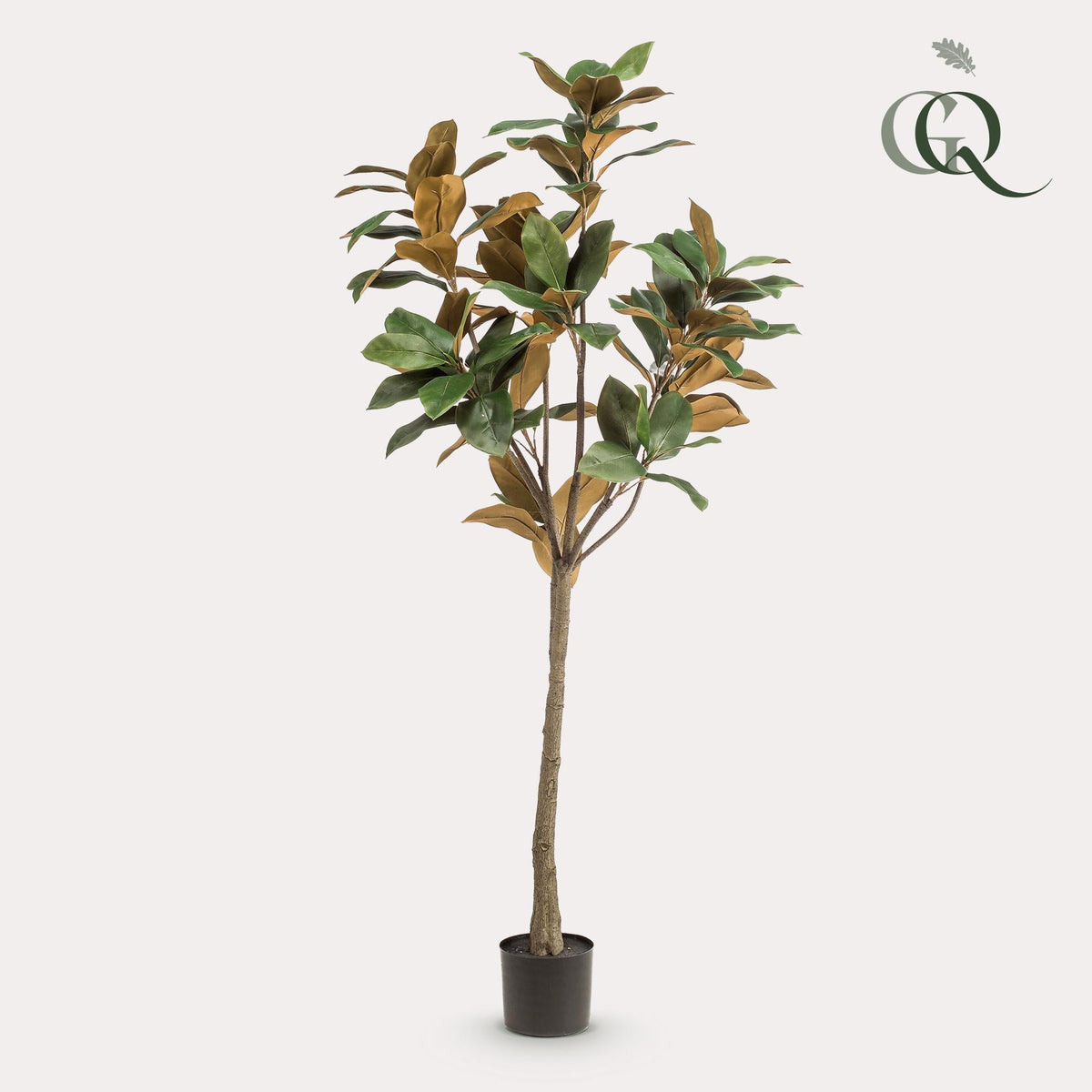 Kunstplant - Magnolia Grandiflora - 150 cm - Forestbloom